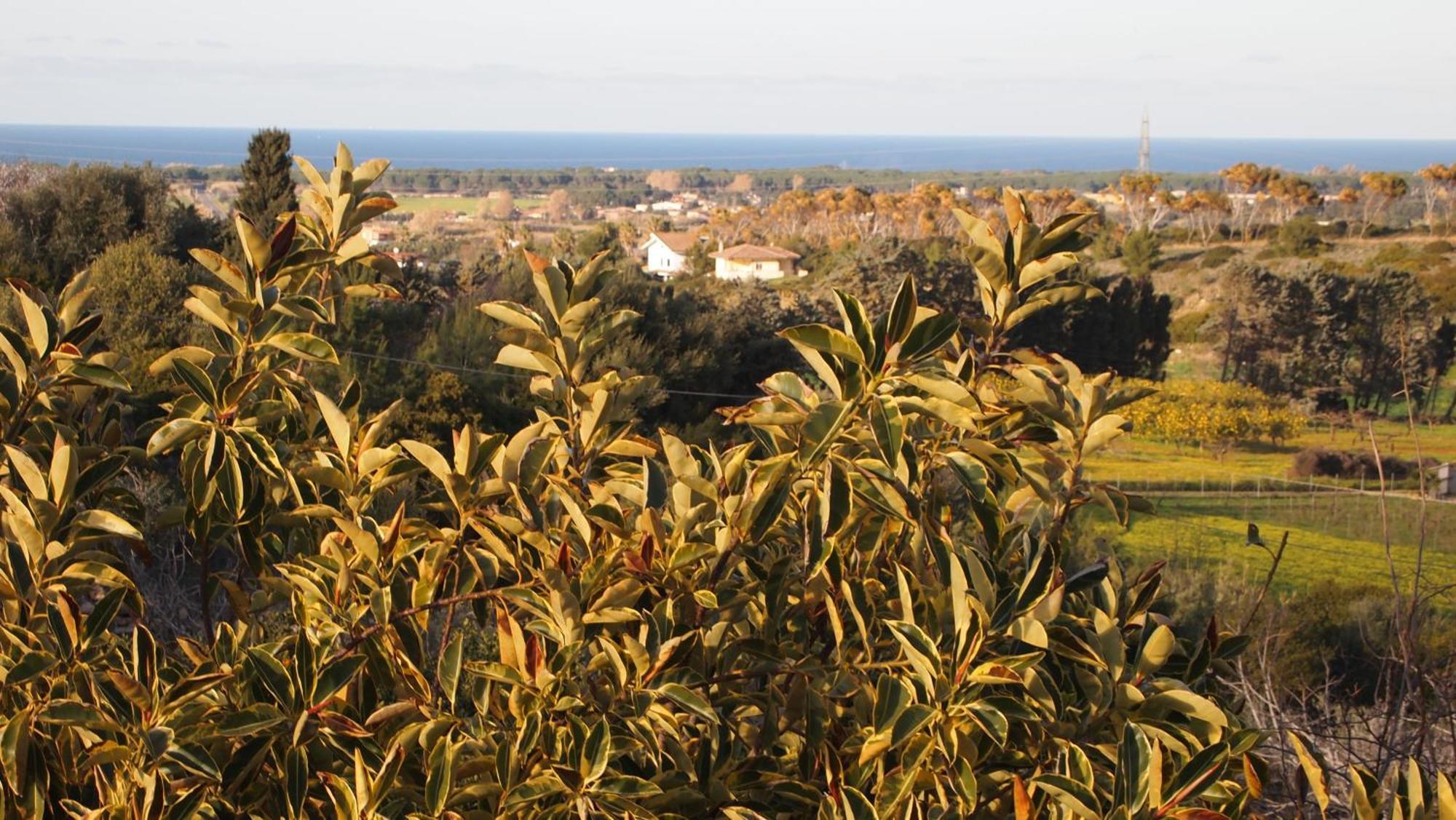Villa Asinara Sassari Exterior foto